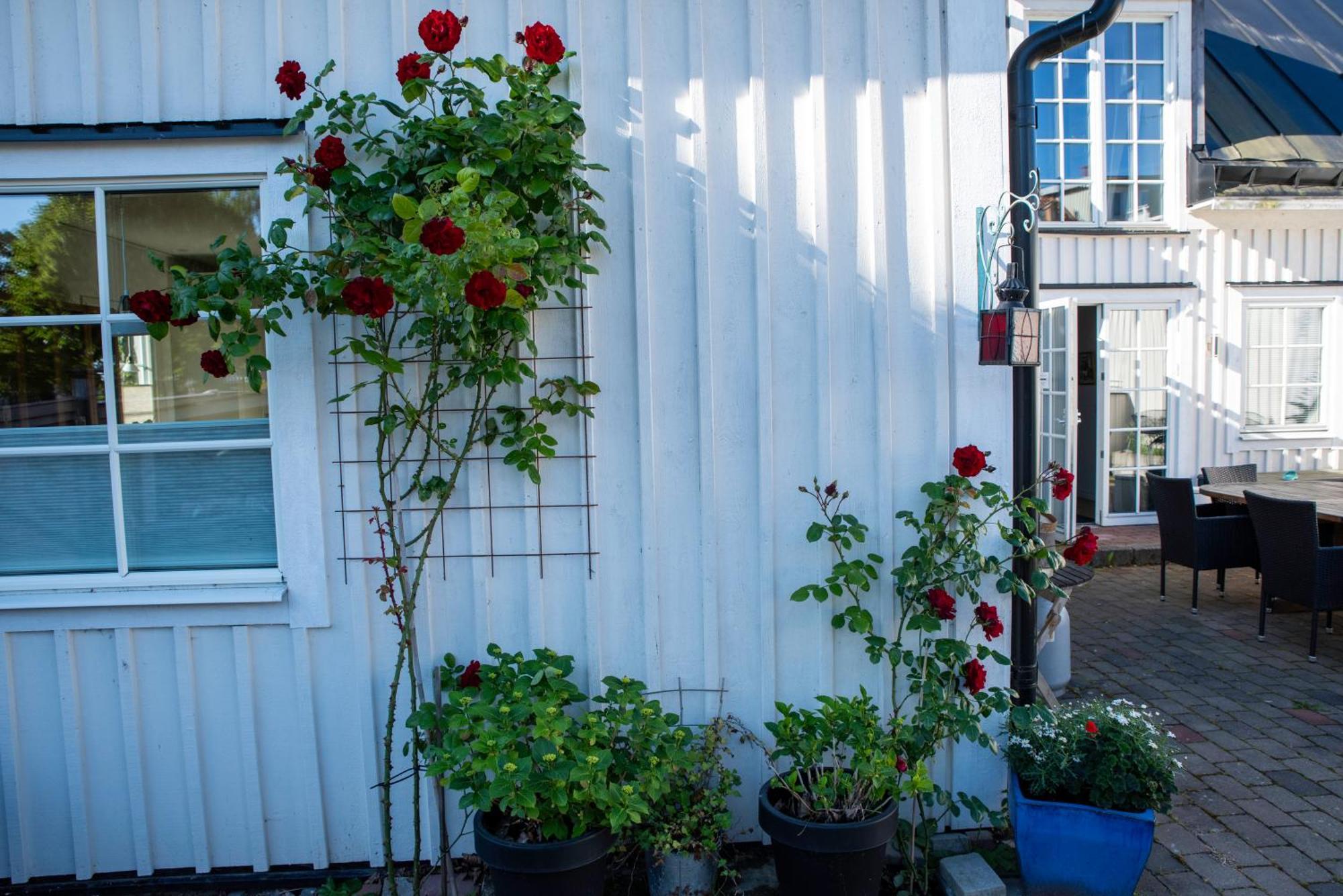 Guest House Tullgatan 24 Borgholm Exterior photo